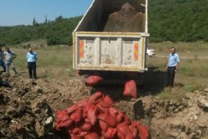 4 bin 125 kilo kaçak midye ele geçirildi