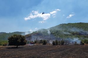 Kaş'ta orman yangını