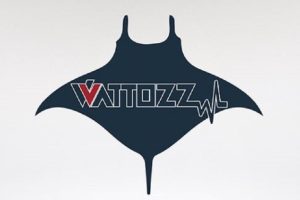 Yerli ve milli vatozlar için geri sayım başladı