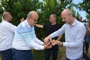 Bursa'da doluzede çiftçilere destek