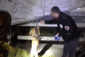 Torbacılara darbe klip oldu