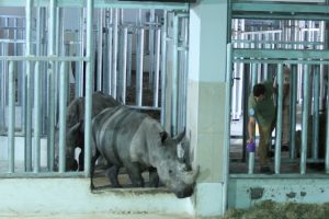 Bursa Hayvanat Bahçesi'nin yeni misafirleri ziyaretçilerini bekliyor