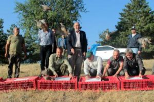 1500 yavru keklik doğaya salındı