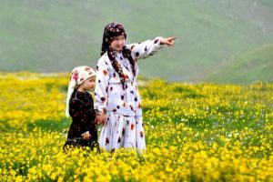 Karadeniz'de yaylalar rengârenk