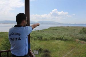 Midyeciler kaçtı, onlar kovaladı! Çıkanlar herkesi şaşırttı...