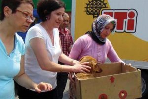 Yaralı sokak köpeği için seferber oldular!