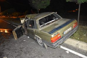 Otomobil aydınlatma direğine ve ağaca çarptı! 2'si çocuk, 7 yararlı