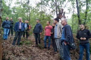 Bursa İnegöl'de silvikültür çalışmaları denetlendi