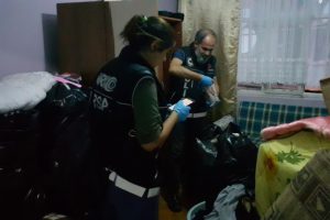 Bursa'da halıların içine gizlenen uyuşturucuyu Rona buldu
