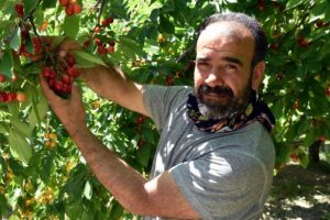 Hobi olarak başladı, şimdi 10 ton ürün elde ediyor