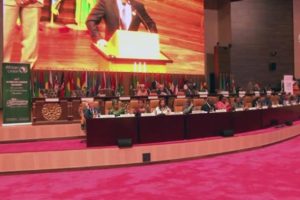 31. Afrika Birliği Zirvesi'nde ikinci gün tamamlandı