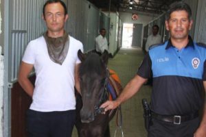 Kayseri Polisi yeni atları ile iş başında