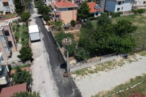 Elektrik direği leyleklerin yuvası oldu
