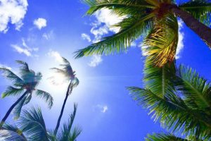 Hawaii 'güneş kremi' düzenlemesiyle ABD'de bir ilke imza attı