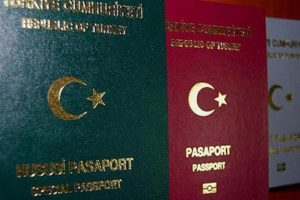 AB'den yeşil ve gri pasaport sahiplerine kötü haber
