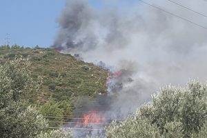 Bodrum'da yangın sonrası korkunç manzara