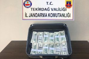 Tekirdağ'da 228 bin sahte ABD doları ele geçirildi