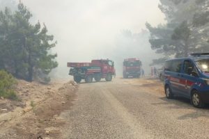 Antalya'da orman yangını
