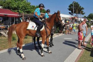 Atlı jandarmalar Muğla'da göreve başladı