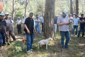 Bolu'da trüf avcılığı ve yetiştiriciliği eğitimi verildi