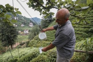 Rize'de çaydan sonra suya da teleferikle çözüm