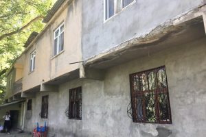 Yarasalar evleri istila etti