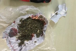 Polisin durdurduğu şüphelilerin üzerinden bonzai çıktı