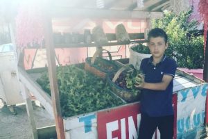 Yaş fındığın kilosu 15 TL oldu