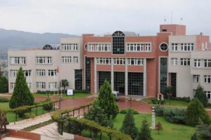 Herkese ''FETÖ'cü'' diyen profesöre şok!