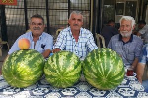 Ödemiş karpuzunun fiyatları düştü, üreticinin morali bozuk