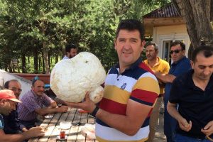 Dev mantar şaşırttı