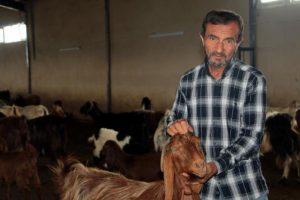 Hibeyle kurduğu işletmede keçi eti ve sütü üretiyor