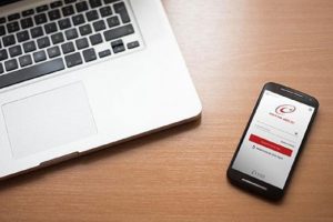 E-Devlet'te yeni sorgulamalar hizmete girdi
