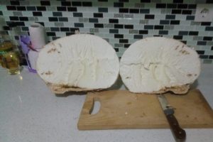 Yaylada buldu ağırlığı kilogram