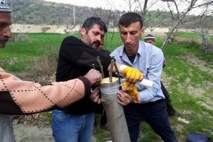 18 bin 842 meyve ağacı aşılandı
