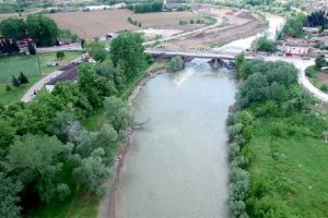 Sakarya Nehri'nde endişe veren balık ölümü