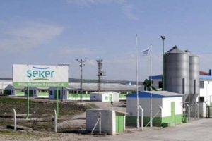 Şeker Piliç tesisi yarı fiyatına satılıyor