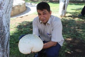 5 kilo kiloluk mantarı görenleri şaşırttı