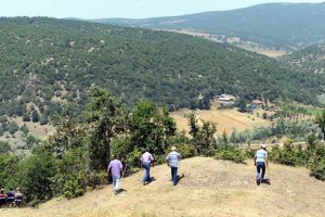 Tokat'ta kaybolan kız çocuğunu arama çalışmaları sürüyor