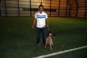 Futbol tutkunu köpek