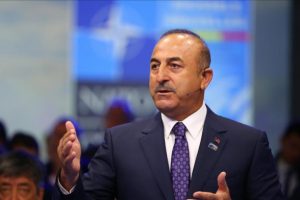Bakan Çavuşoğlu: Cinayetlerin arkasında kim var