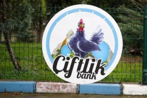 Bir türlü akıllanmıyorlar! Aynı yöntemle dolandırdılar