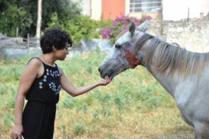 Yaralı ata hayvanseverler sahip çıktı