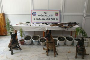 Jandarma uyuşturucu tacirlerine nefes aldırmıyor
