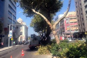 Ağaca çarpan kamyonet tramway seferlerini durdurdu