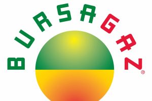 Bursagaz e-devlet'te yerini aldı