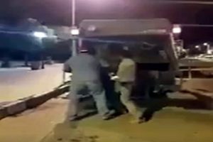 Köpekleri canlı canlı çöp kamyonuna attılar!
