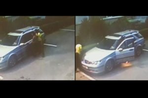 Bu kez lüks bir sitede ortaya çıktılar