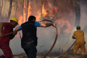 İzmir'deki yangınla ilgili 1 kişi gözaltında
