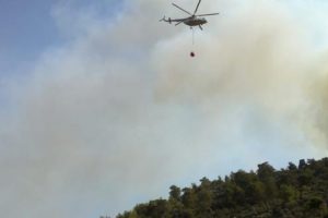 Muğla'da orman yangını çıktı!